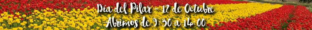 abrimos agenda para bodas 2025-2026